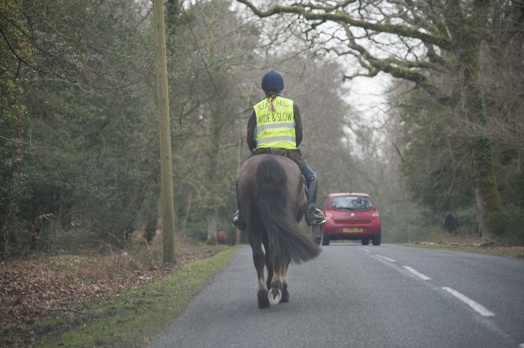 Detail of Rider on horseback on country road in New Forest 2014 by Unknown