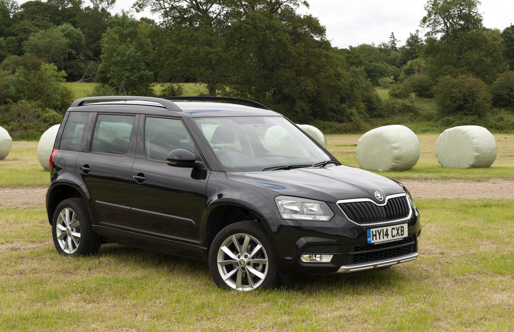 Detail of 2014 Skoda Yeti SE by Unknown