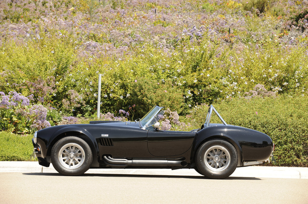 Detail of AC Cobra 427 1966 by Simon Clay