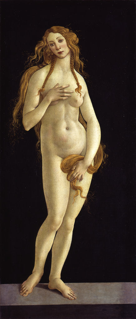 Detail of Venus, 1490 by Anonymous