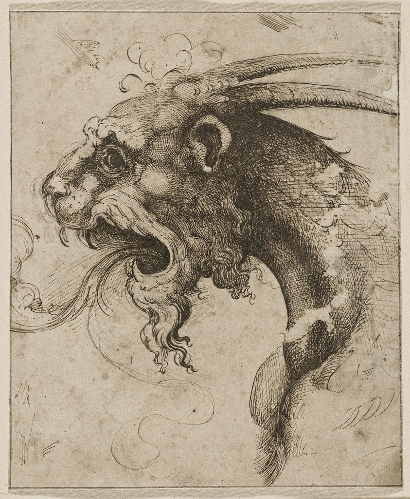 Detail of Head of a Chimera by Anonymous