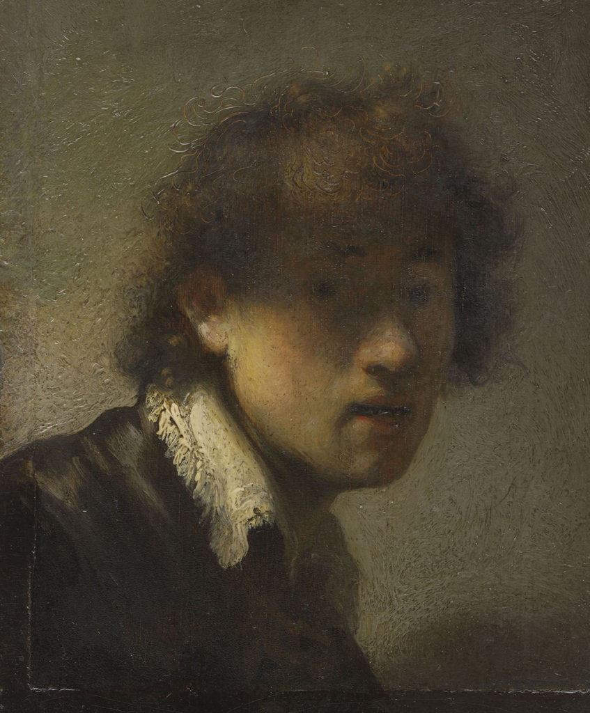 Detail of Self-portrait, 1629 by Anonymous
