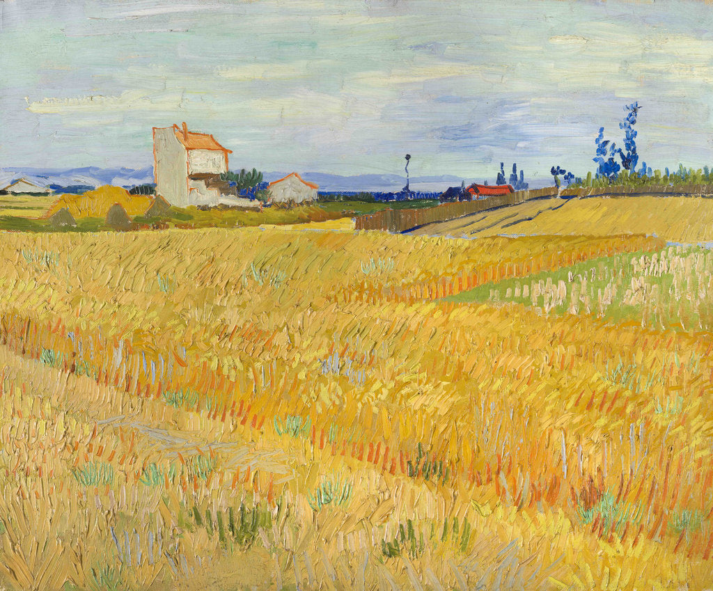 Detail of Wheat Field (Champ de blé), 1888 by Anonymous