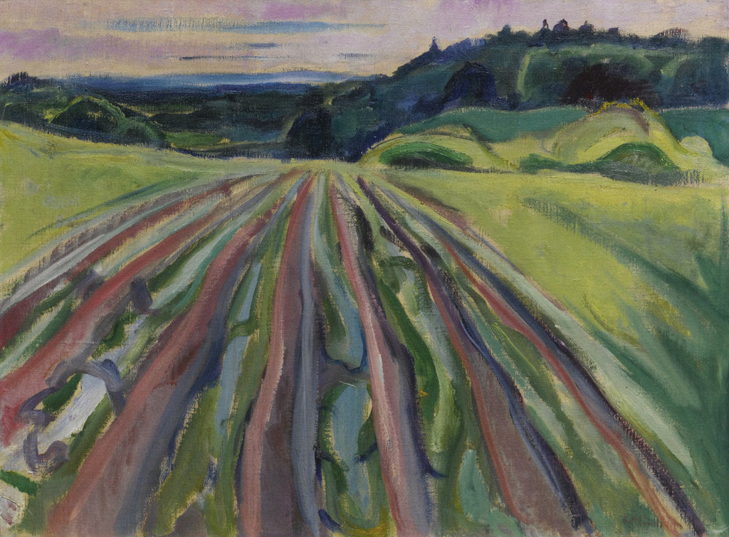 Detail of Ploughed field, 1916 by Anonymous