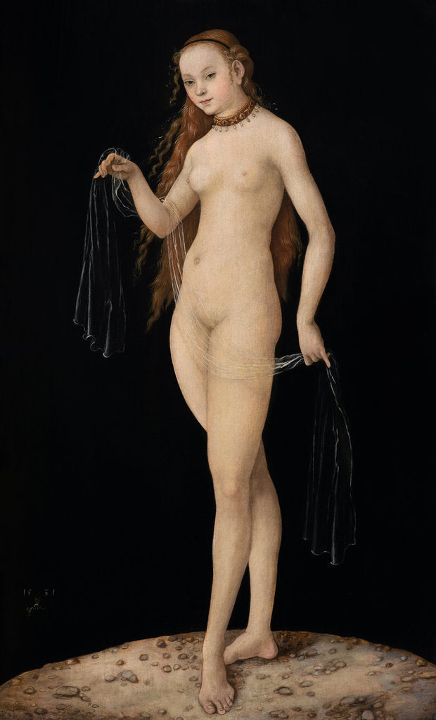 Detail of Venus, 1531 by Anonymous