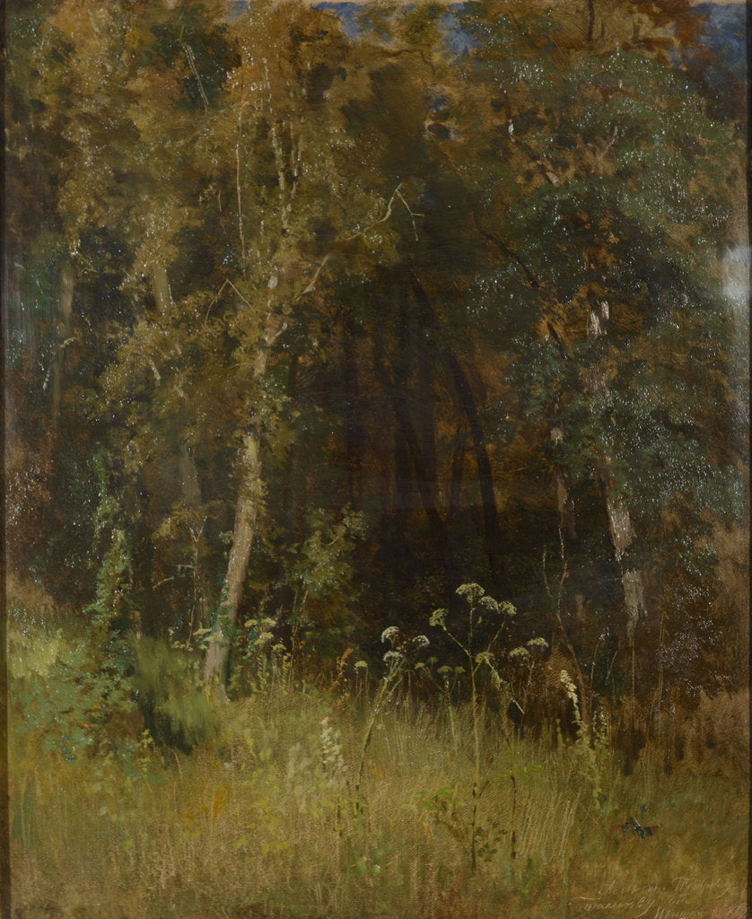 Detail of Forest Thicket, 1874 by Anonymous