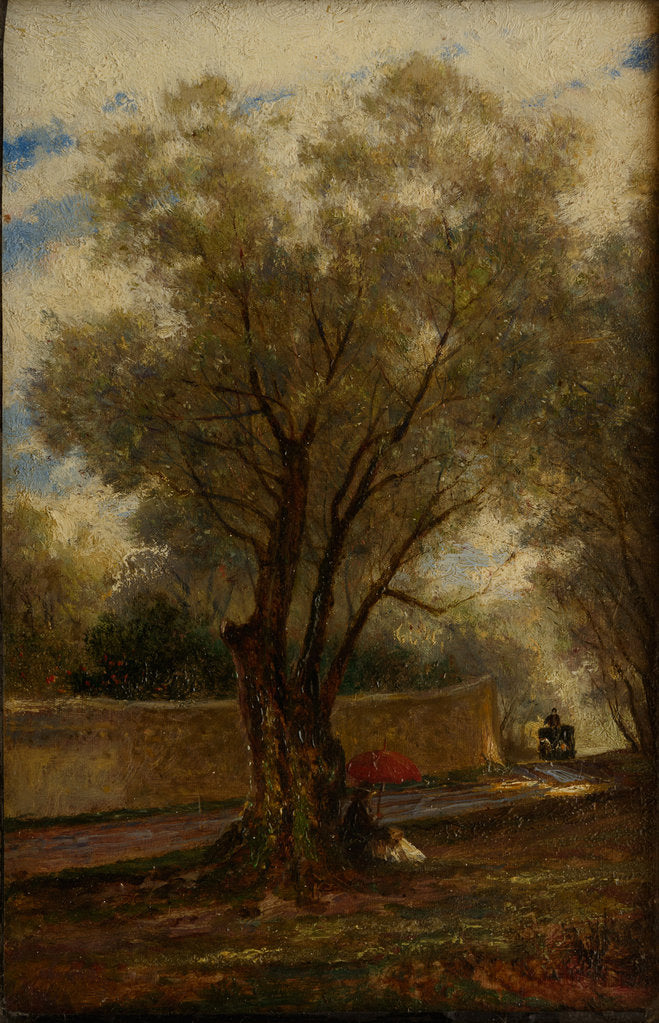 Detail of Olive Trees at Menton, 1881 by Anonymous