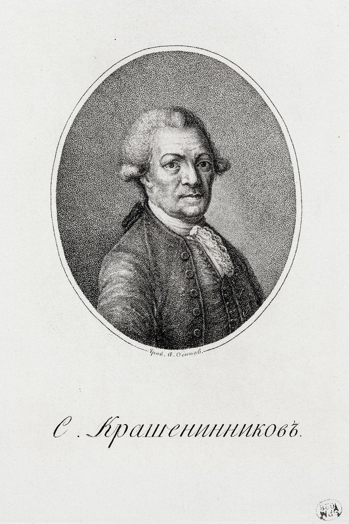 Detail of Portrait of Stepan Petrovich Krasheninnikov by Anonymous