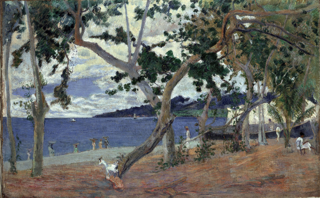 Detail of At the seashore, Martinique by Anonymous