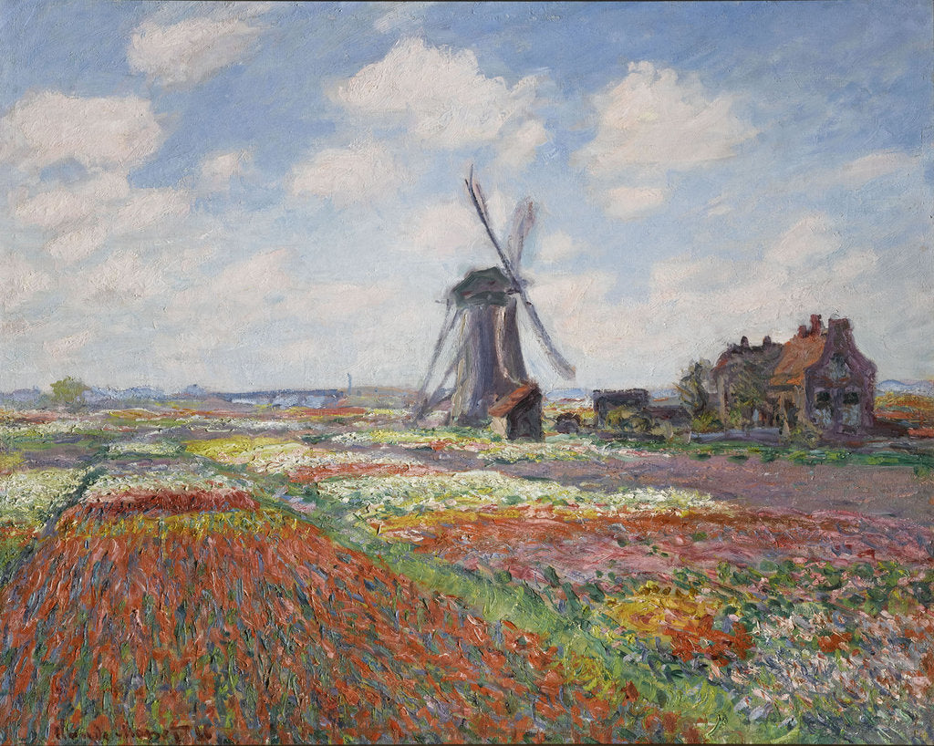 Detail of Tulip fields in Holland (Champs de tulipes en Hollande) by Anonymous