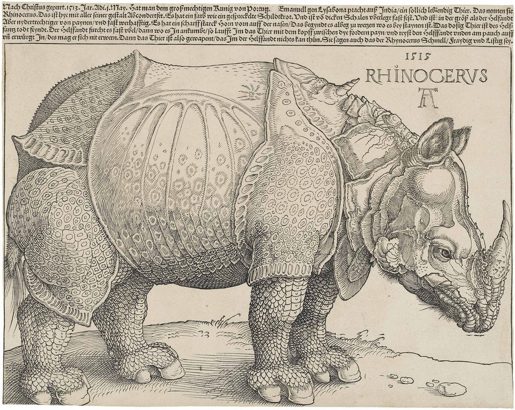 Detail of The Rhinoceros by Anonymous