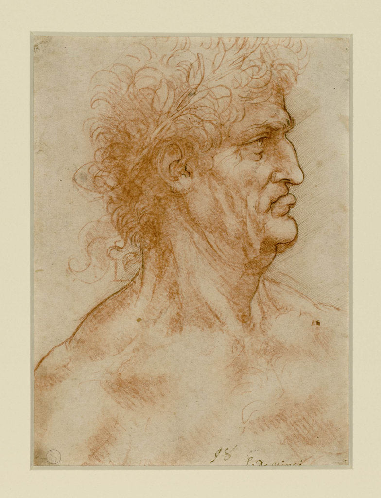 Detail of Head Of A Man In Profile Crowned With Laurel by Anonymous
