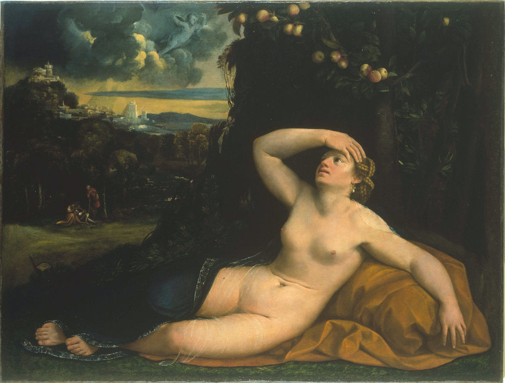 Detail of Venus awakened by Cupid by Anonymous