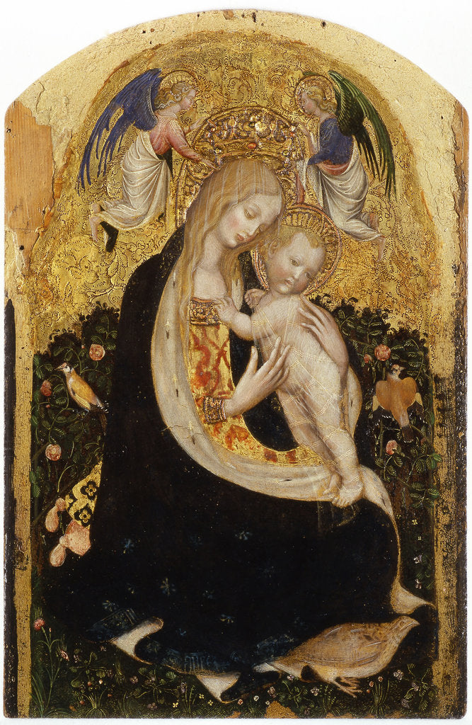 Detail of Madonna of the Quail (Madonna della Quaglia) by Anonymous