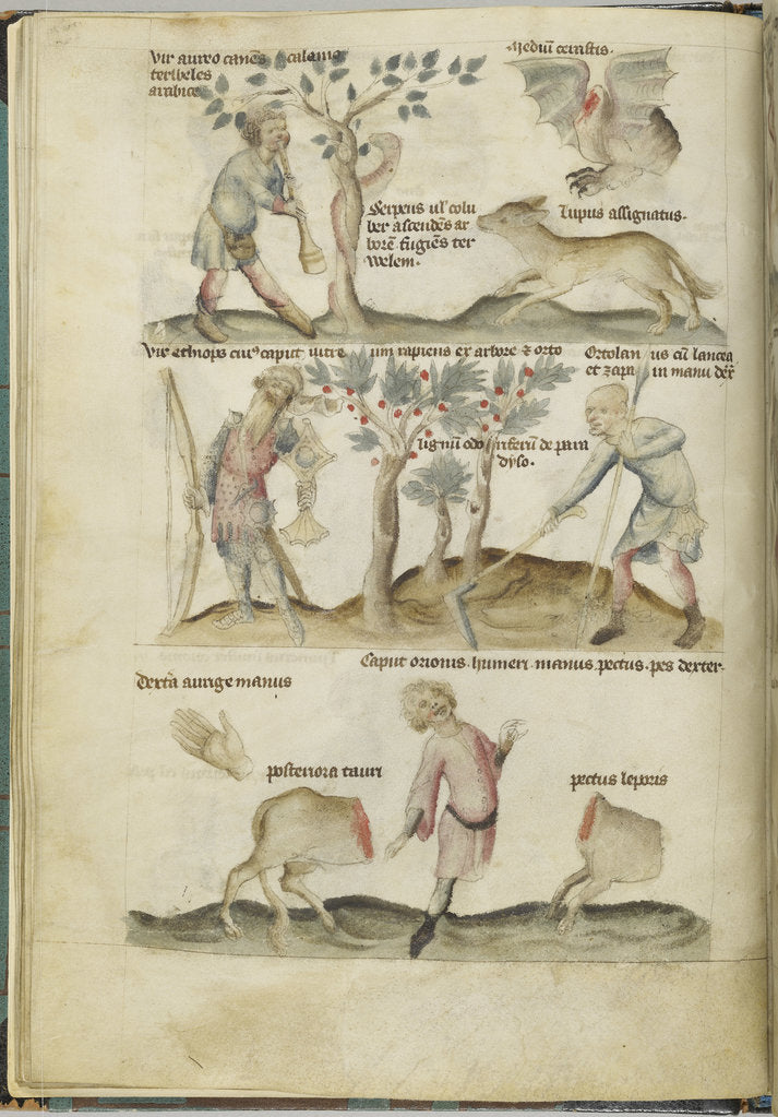 Detail of Liber Astrologiae by Anonymous