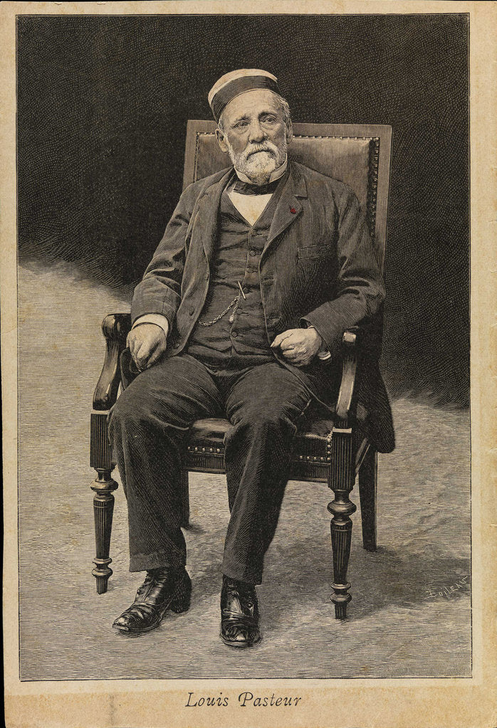 Detail of Portrait of Louis Pasteur by Anonymous