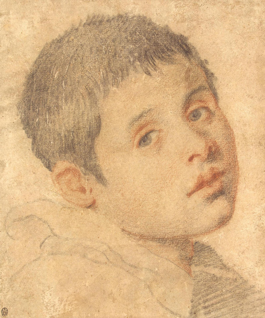 Detail of Head of a Boy by Anonymous