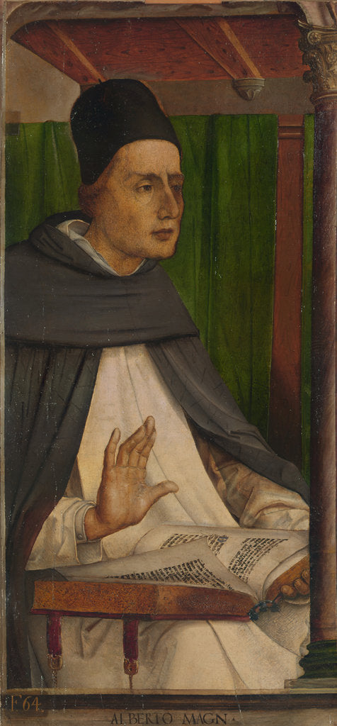Detail of Albertus Magnus by Anonymous