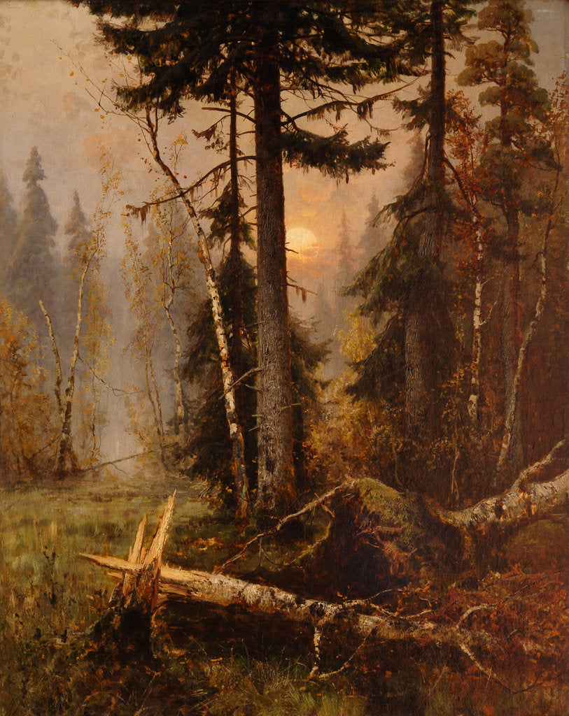 Detail of Forest Thicket by Anonymous