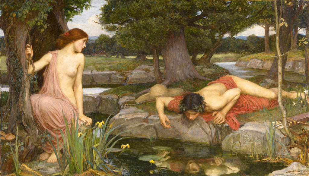 Detail of Narcissus and Echo by Anonymous