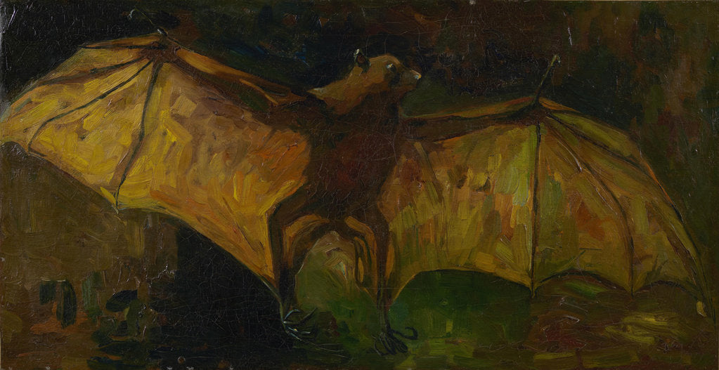 Detail of The bat by Anonymous