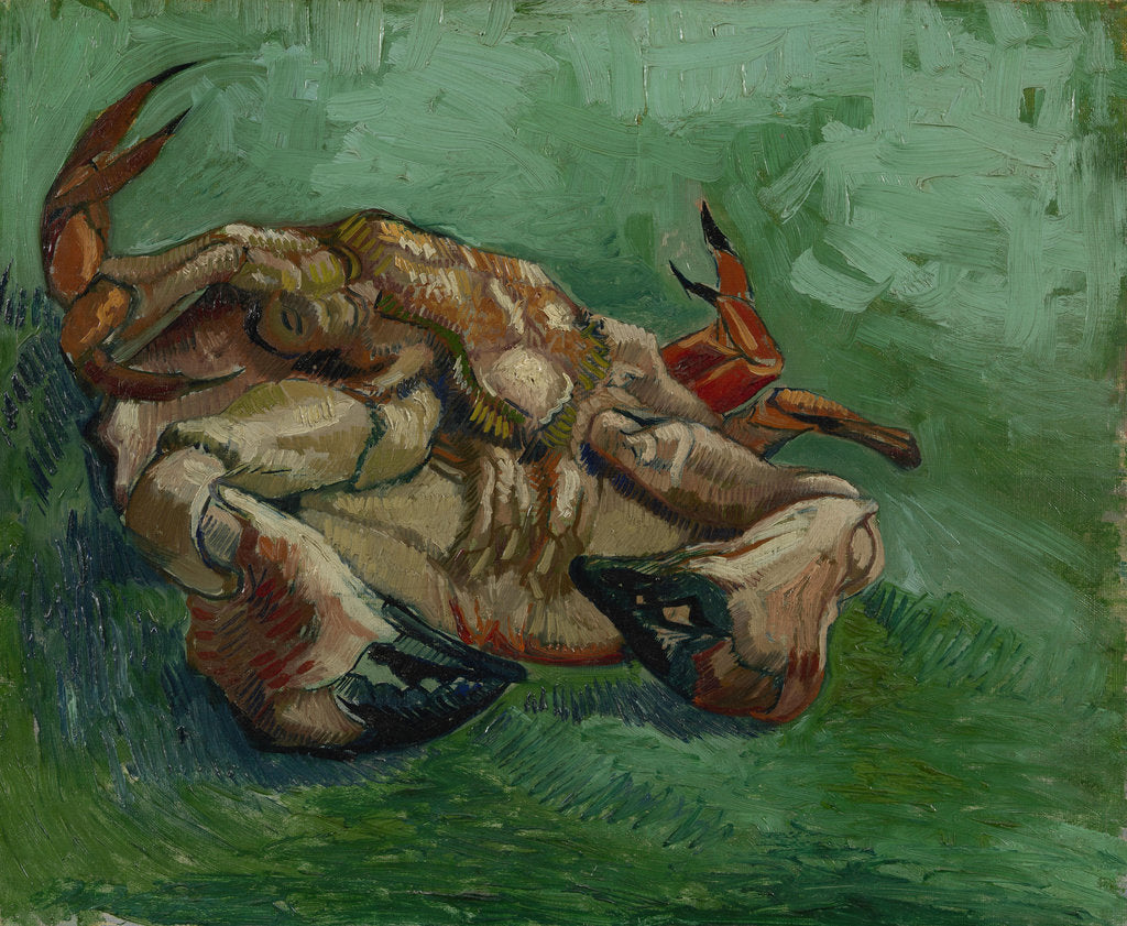 Detail of A Crab on its Back by Anonymous