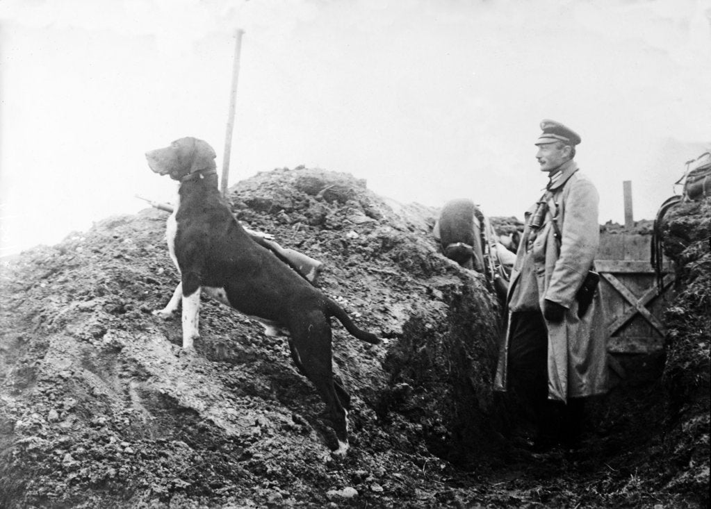 Detail of German Officer with his dog in the trenches, c.1914 by Anonymous