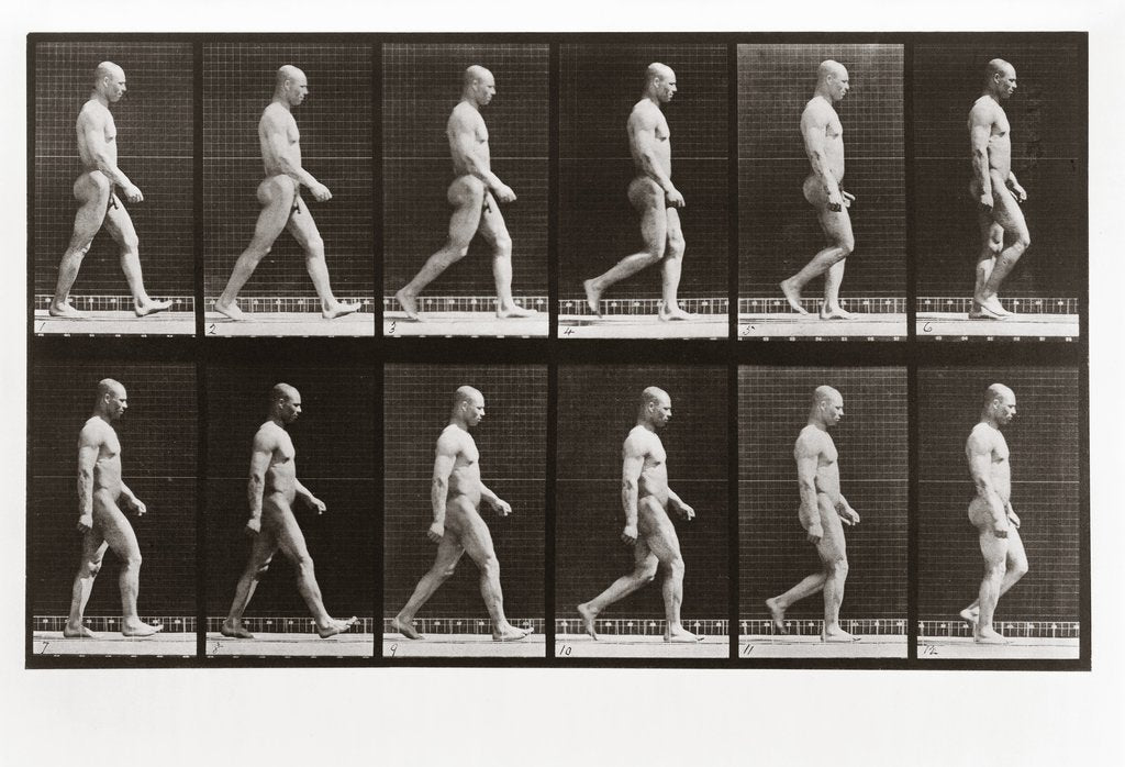 Detail of Man walking, Plate 6 from Animal Locomotion, 1887 by Anonymous