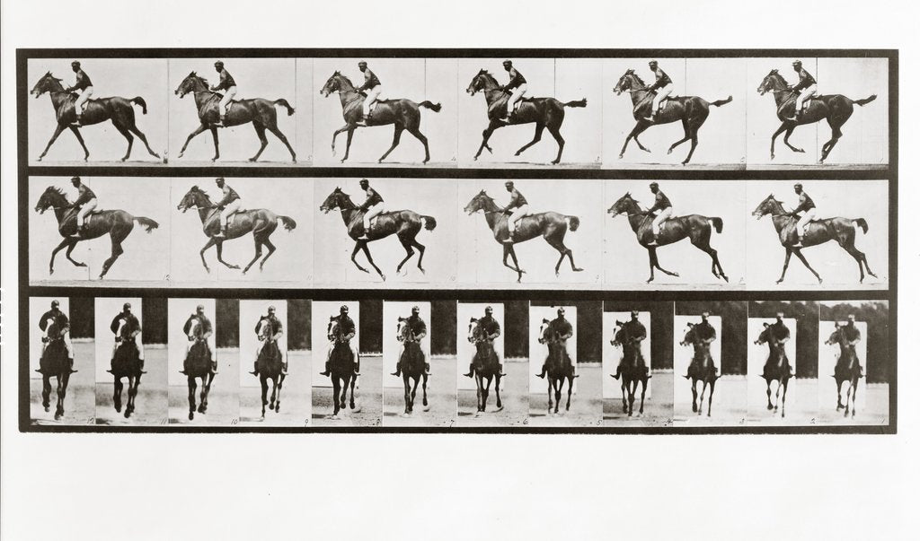 Detail of Horse and Rider, Plate 621 from Animal Locomotion, 1887 by Anonymous