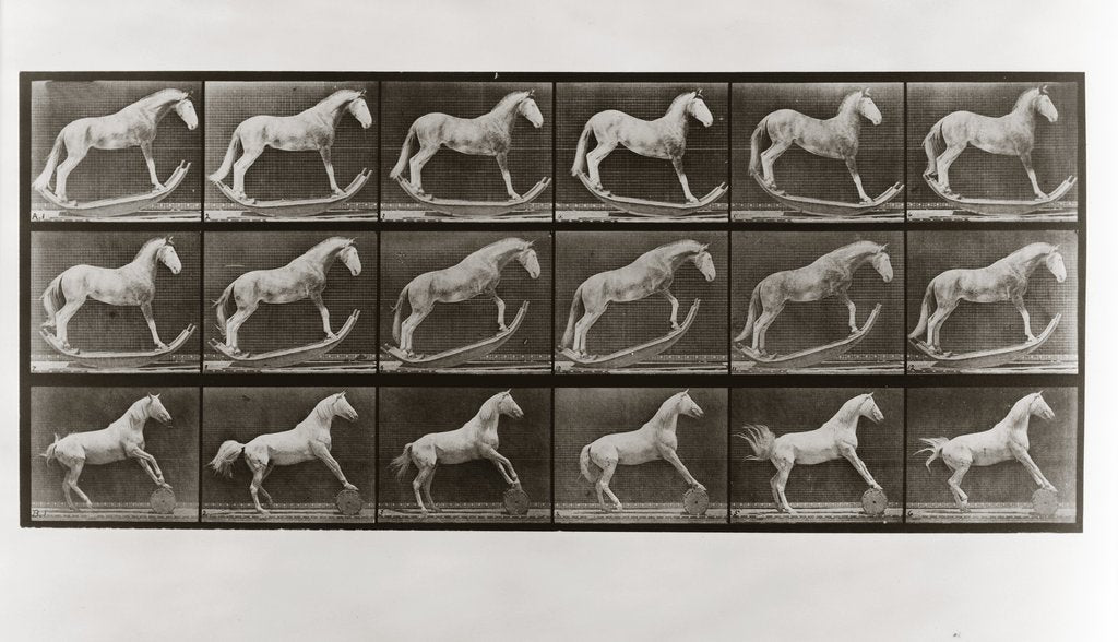 Detail of Horse on Rockers and Horse Rolling a Barrel, Plate 649 from Animal Locomotion, 1887 by Anonymous
