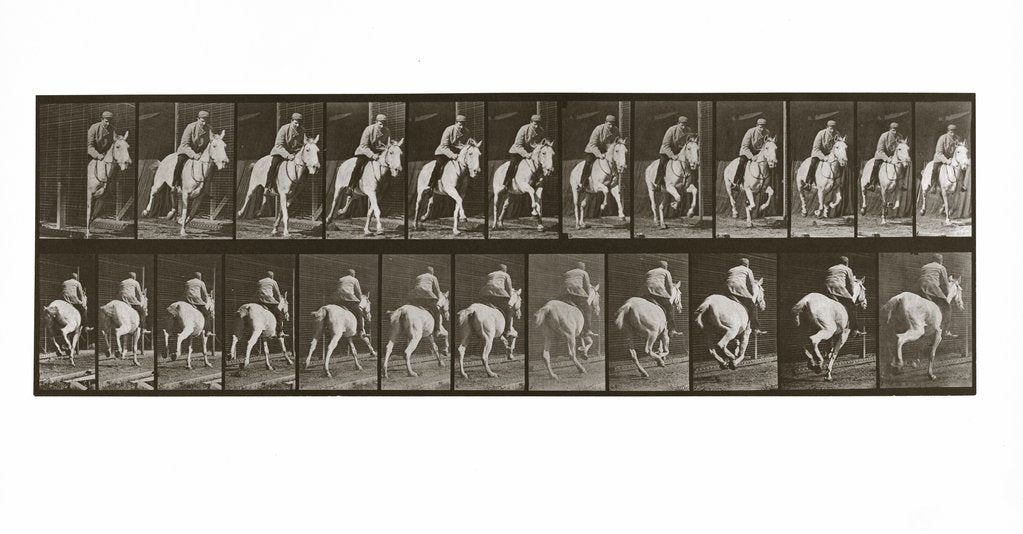 Detail of Galloping Horse with Rider, Plate 635 from Animal Locomotion, 1887 by Anonymous