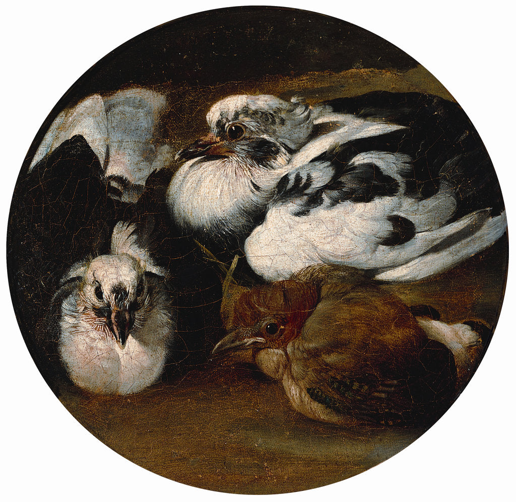 Detail of Two doves and a thrush by Anonymous