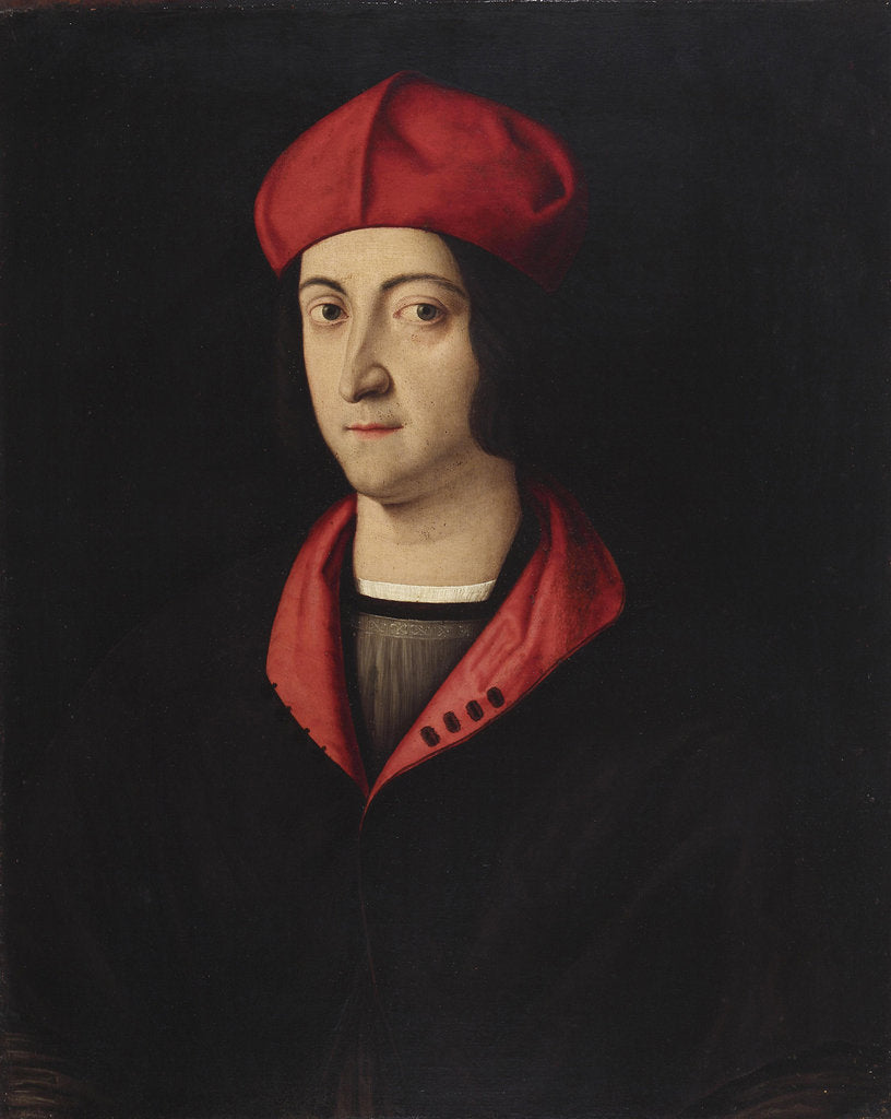 Detail of Portrait of Cardinal Ippolito dEste by Anonymous