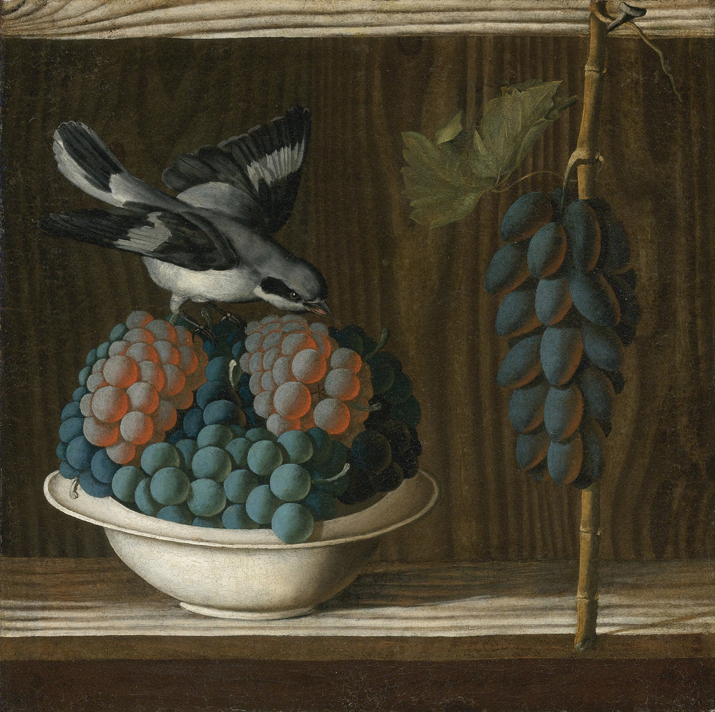 Detail of Still Life with Grapes and a gray shrike (Allegory of Painting) by Anonymous