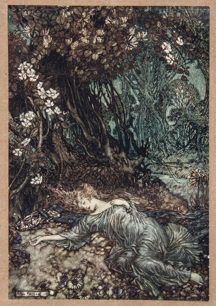Detail of Midsummer Nights Fairies by Anonymous