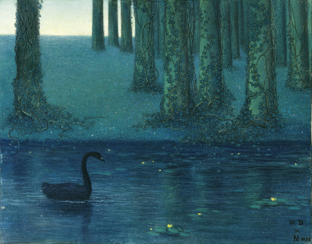 Detail of The black swan by Anonymous