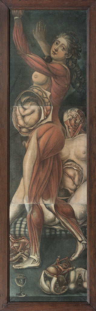 Detail of Two pregnant women by Anonymous