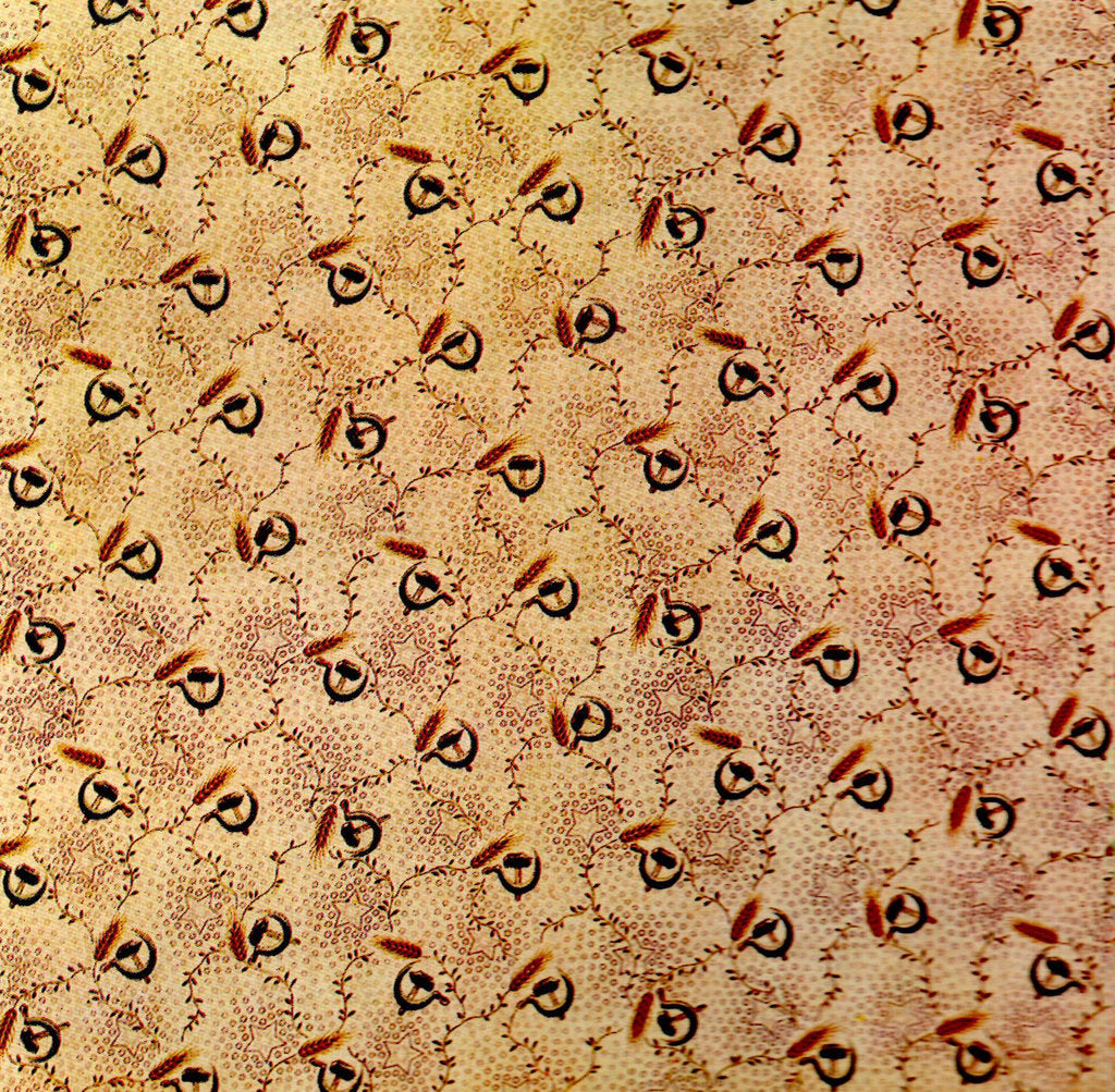 Detail of Cotton Print by Anonymous
