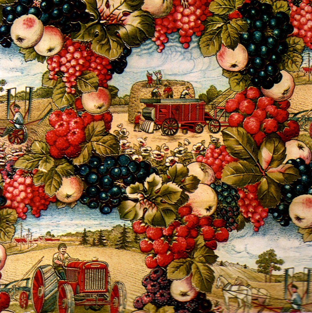 Detail of Tractor by Anonymous