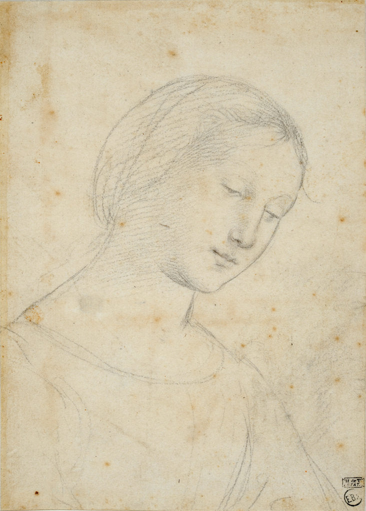 Detail of Study of a Woman by Anonymous