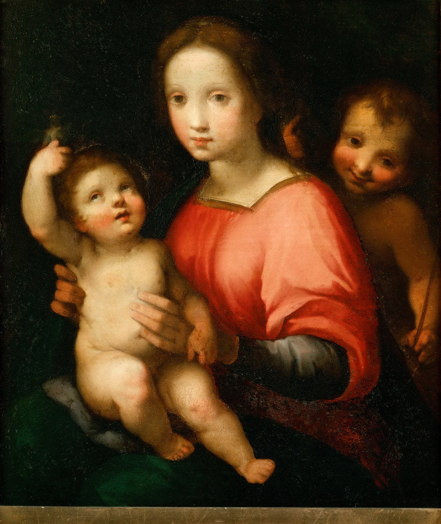 Detail of Virgin and child with John the Baptist as a Boy by Anonymous
