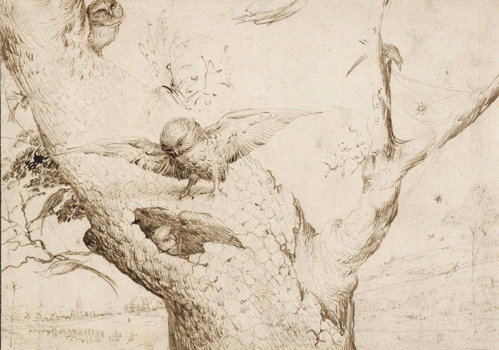 Detail of The Owls Nest, ca. 1505-1510 by Anonymous