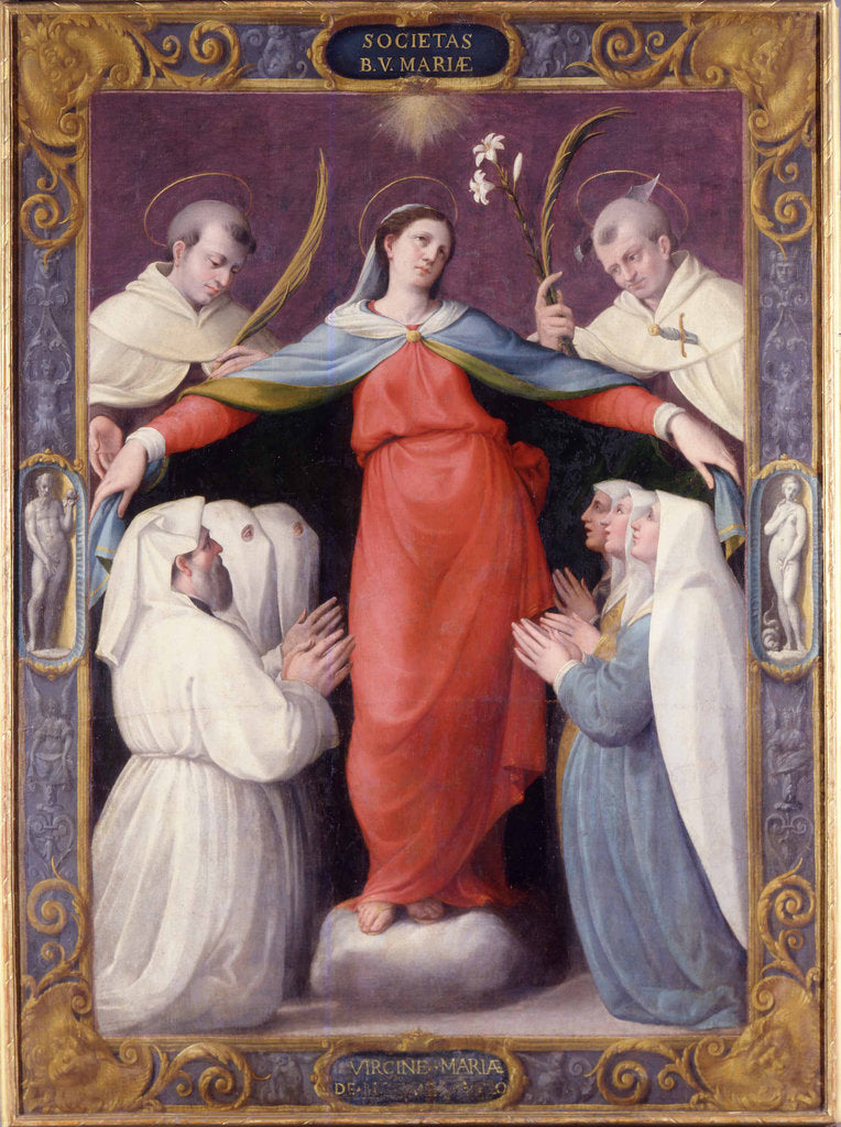 Detail of Madonna della Misericordia (Madonna of Mercy), 1564 by Anonymous
