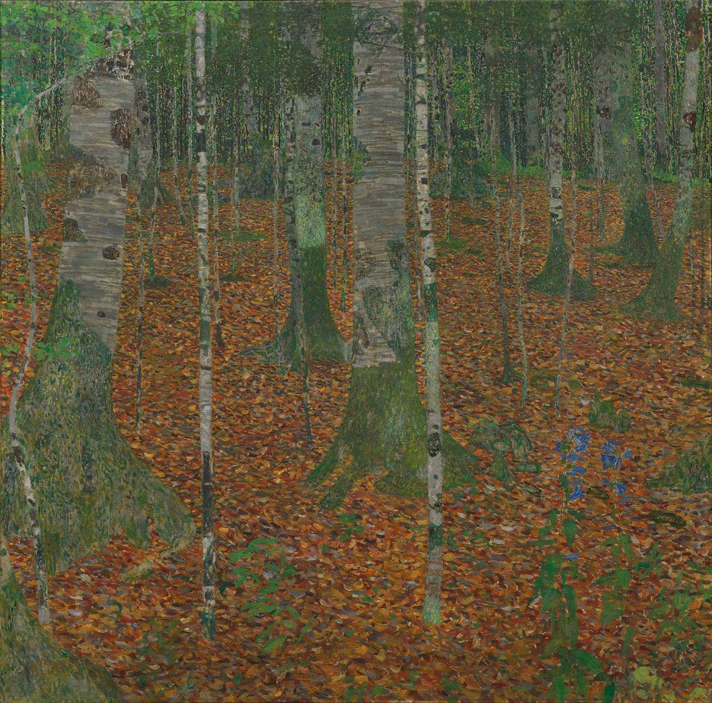 Detail of Birch Forest, 1903 by Anonymous