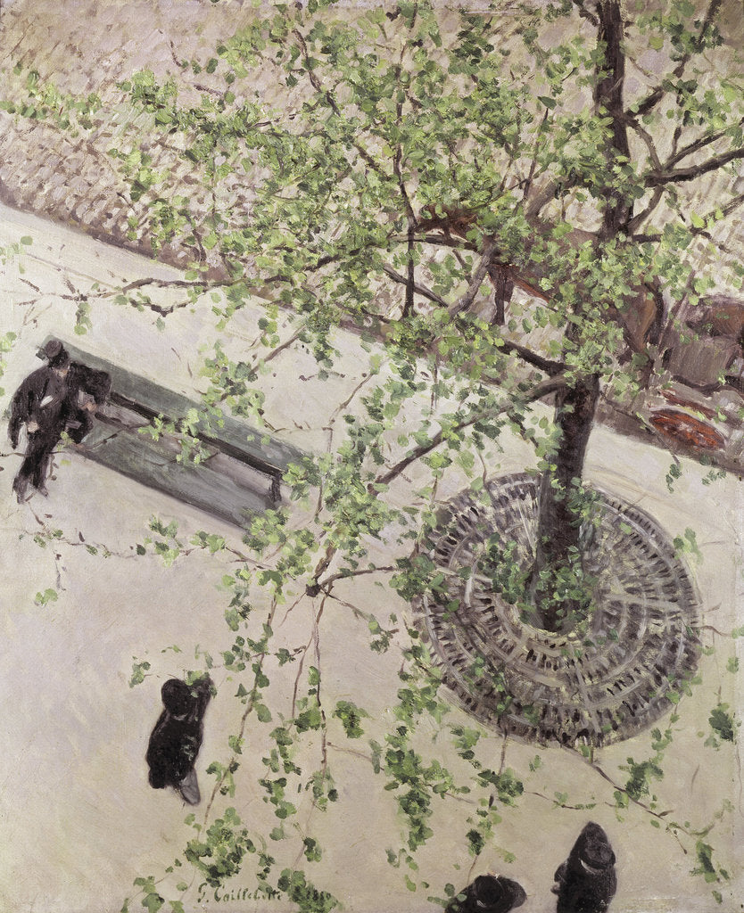 Detail of Boulevard Seen from Above, 1880 by Anonymous
