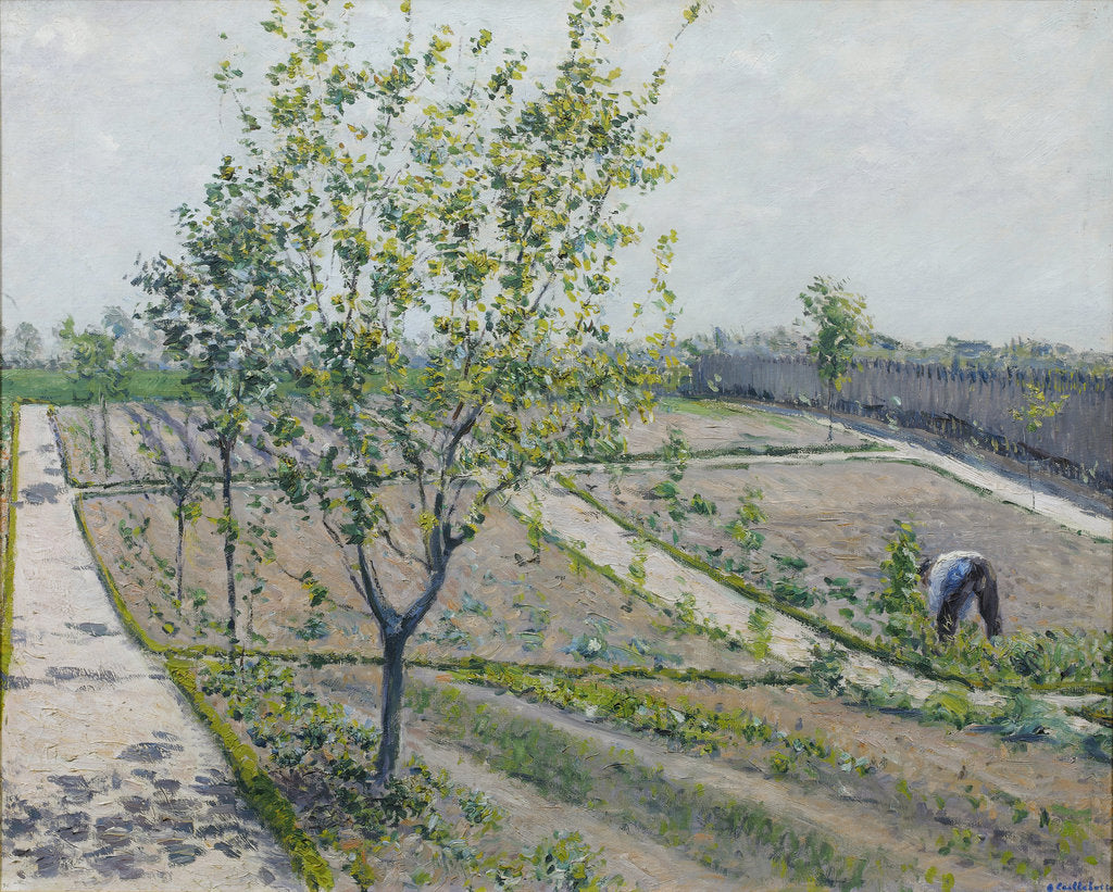 Detail of Kitchen Garden, Petit Gennevilliers, 1881-1882 by Anonymous