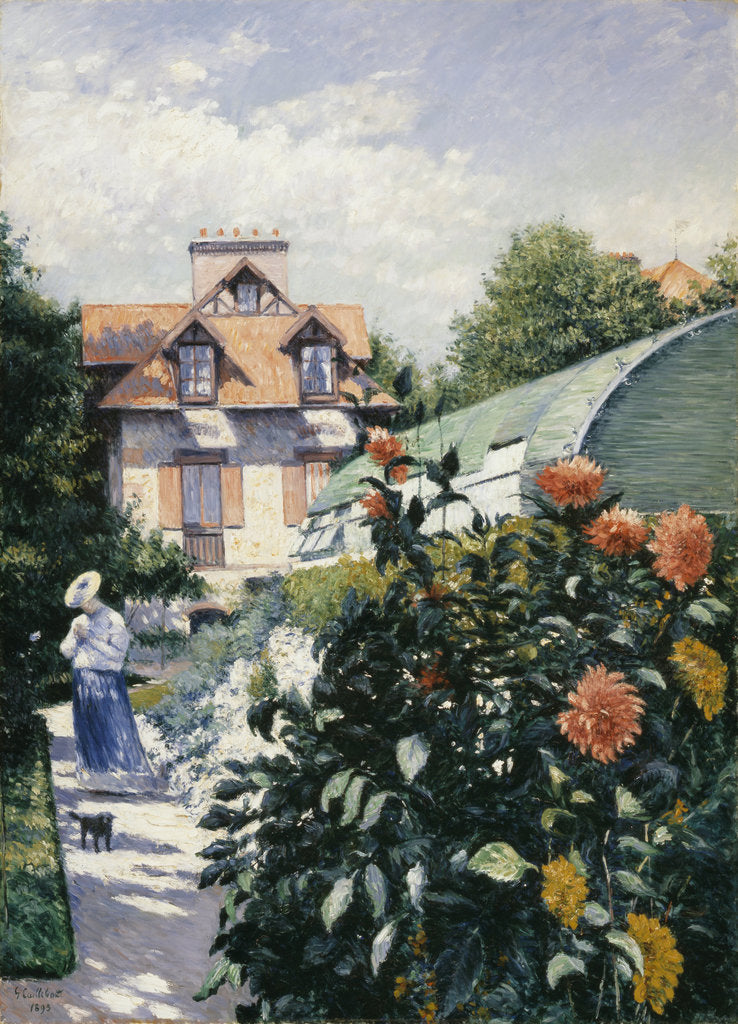Detail of Dahlias, Garden at Petit Gennevilliers, 1893 by Anonymous