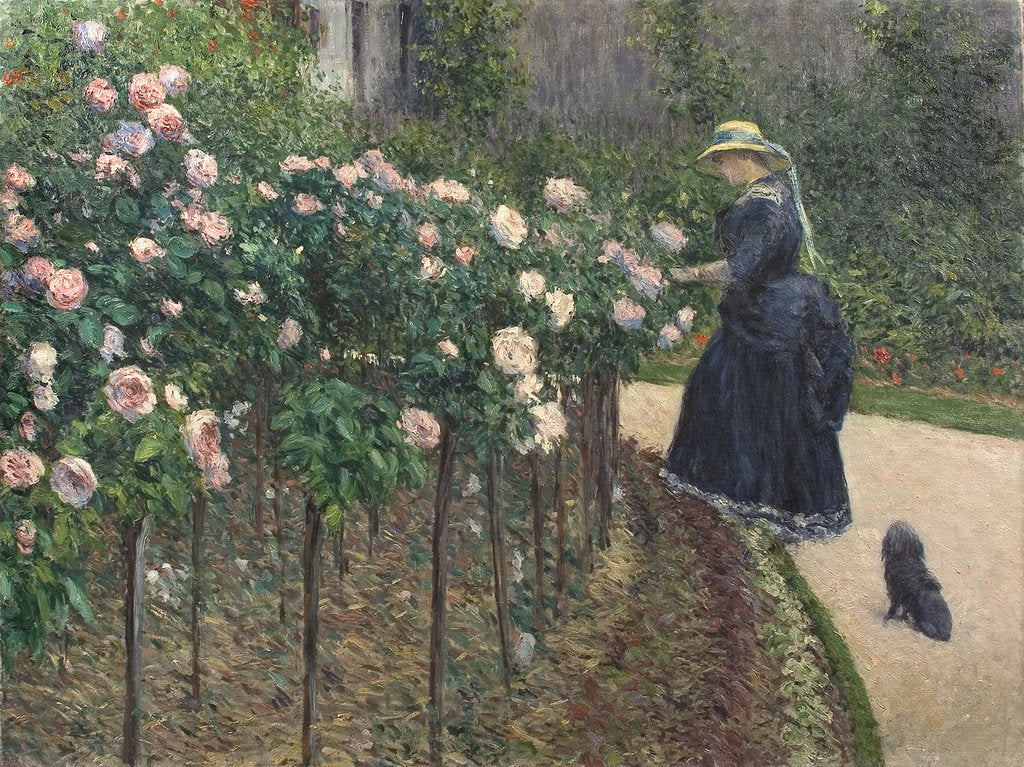 Detail of Roses, Garden at Petit Gennevilliers, 1886 by Anonymous