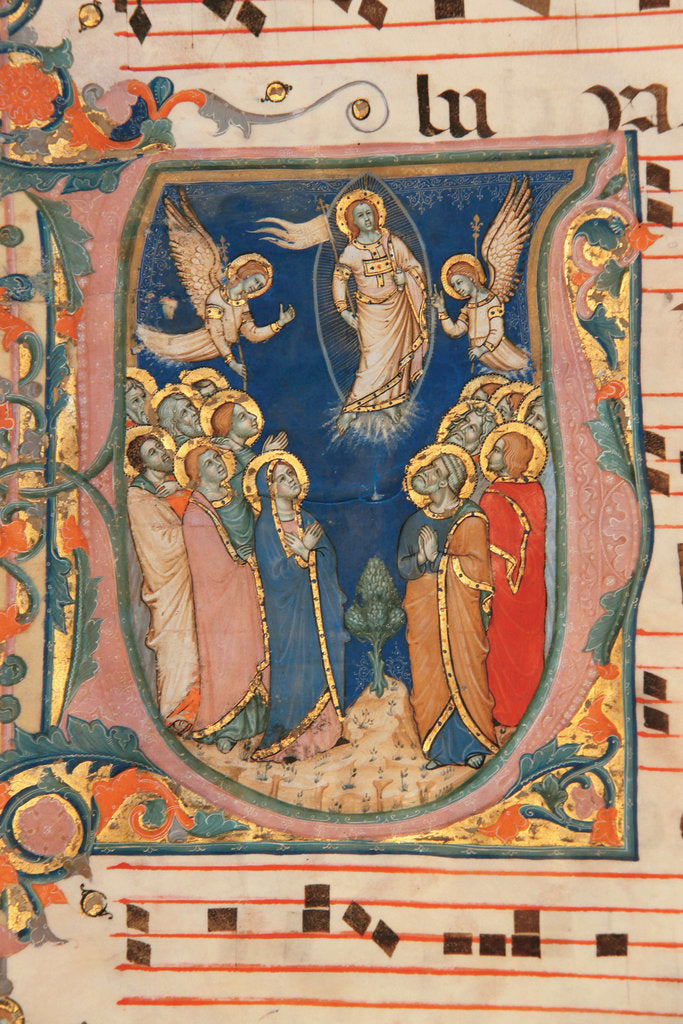 Detail of Sheet from a Carthusian gradual, ca 1368 by Anonymous