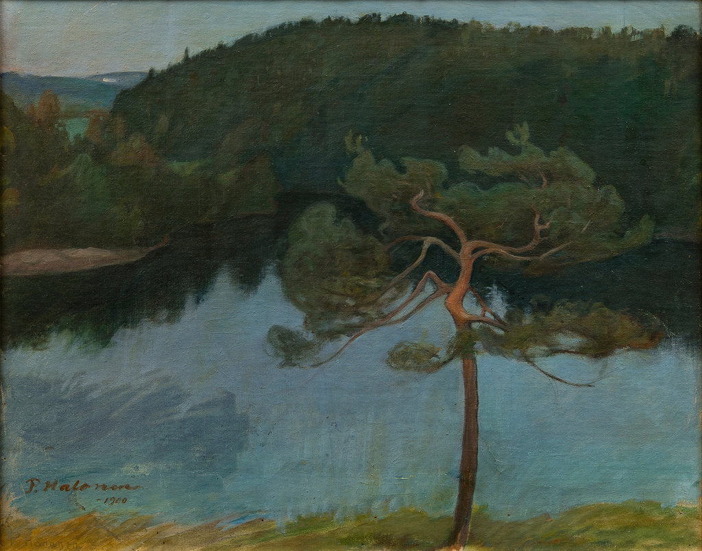 Detail of Pine tree by the shore, 1900 by Anonymous